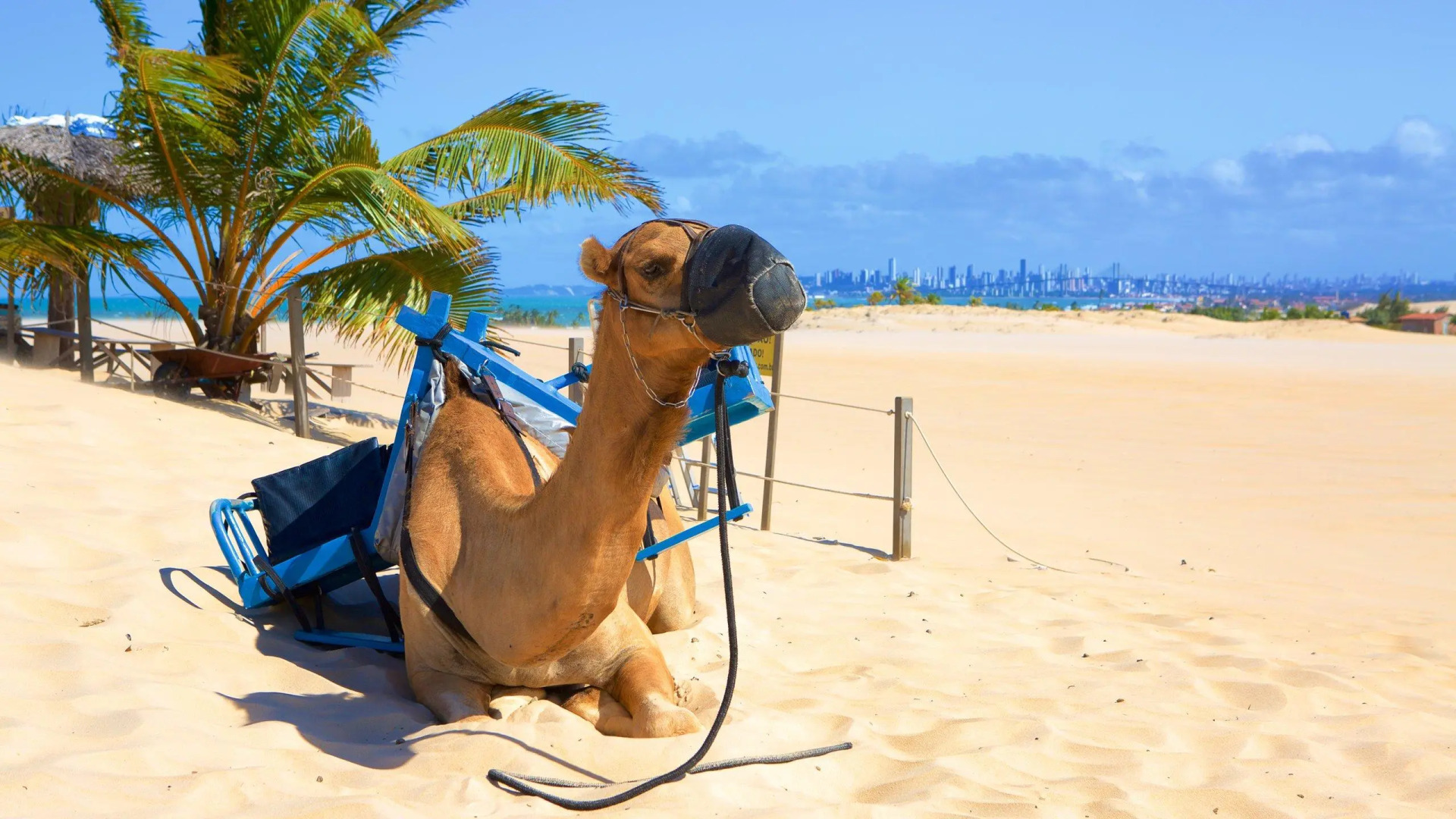 Pousada Genipabu Praia in Mare