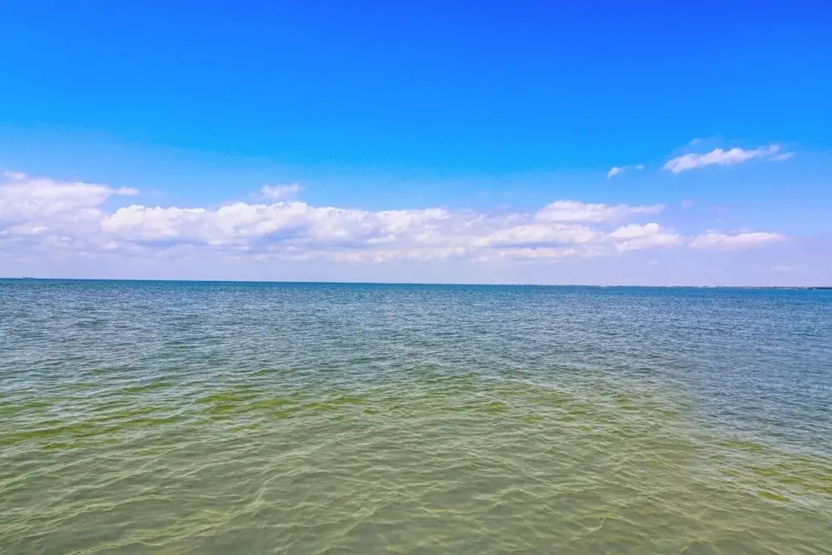 Muizenberg 6031rpb 3 Bedroom Home by RedAwning