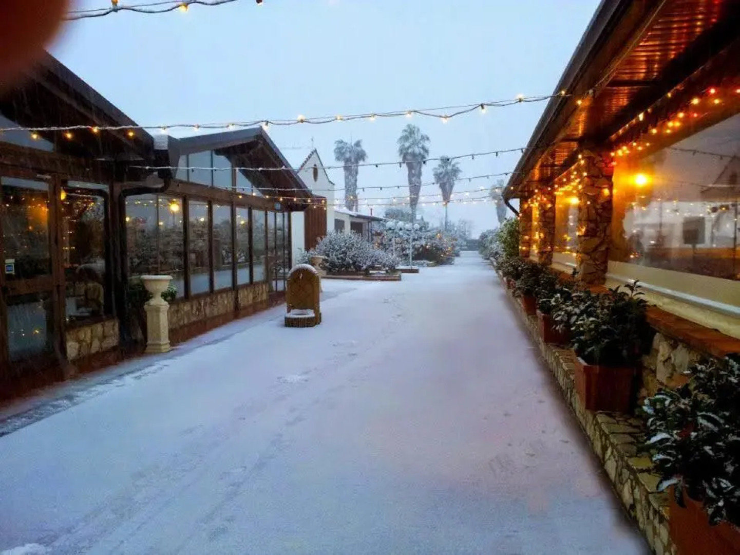 Agriturismo Arabesque