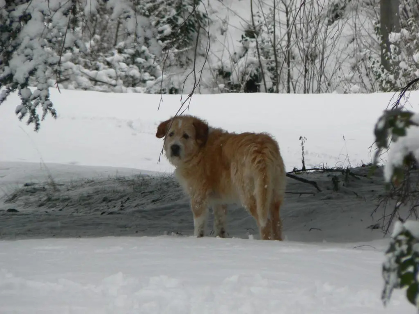 Villa Cernigliaro Dimora storica