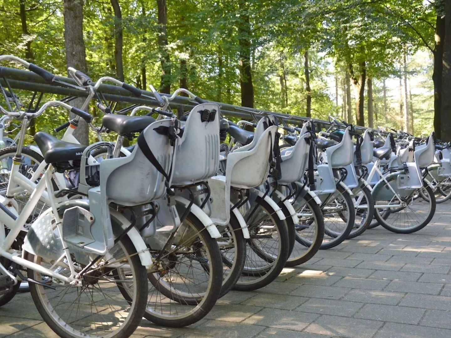 Modern Holiday Home With Nice Garden for 4 People, in Putten, the Veluwe