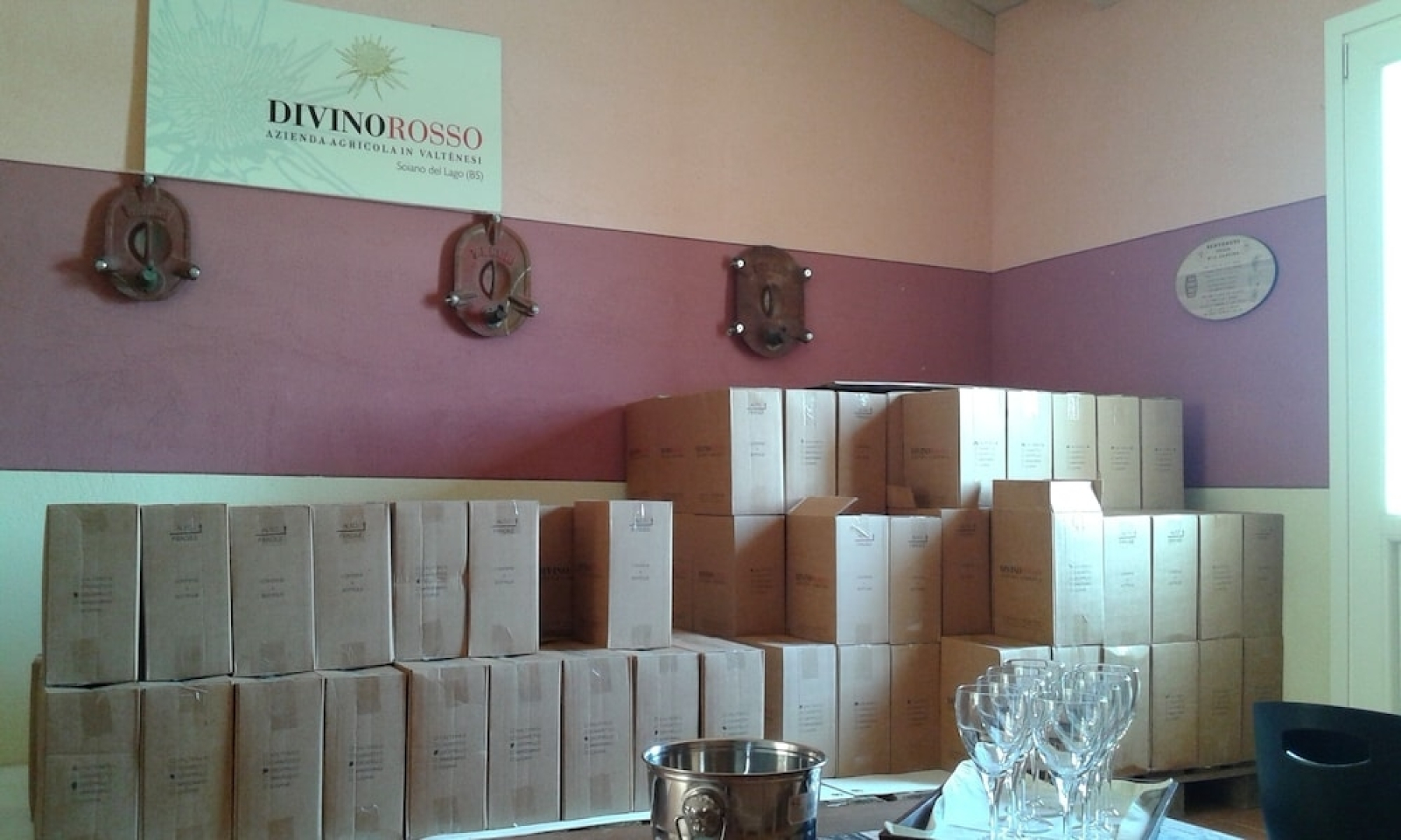 Agriturismo il Cardo