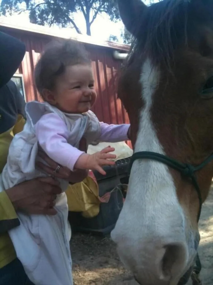 Fullcircle Farm Bed & Breakfast