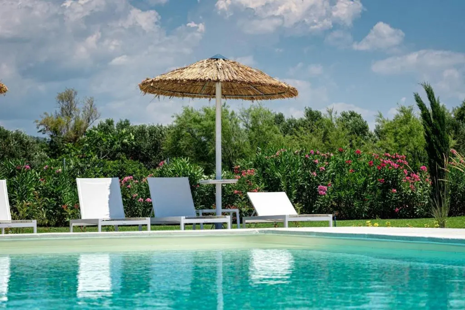 Beach Bird (Sandpiper) 140m2 Chalkidiki Greece