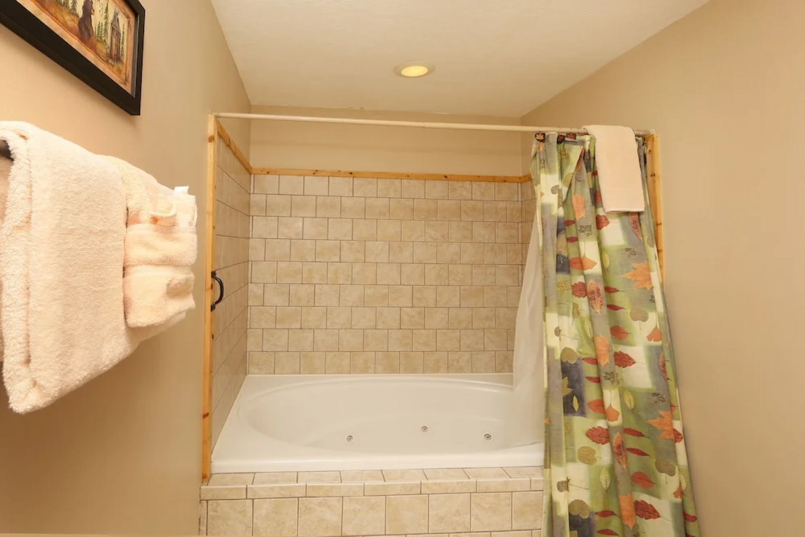 Mountain Shadow Lodge - Six Bedroom Cabin