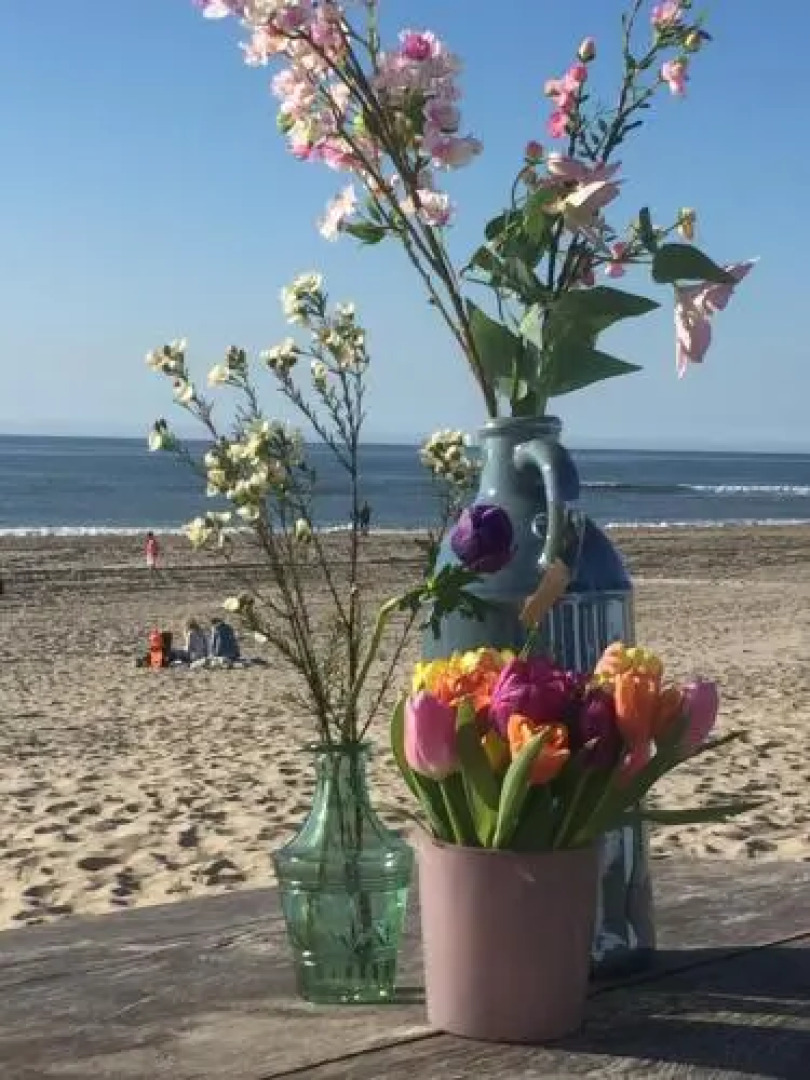 SummerTime Bergen aan Zee