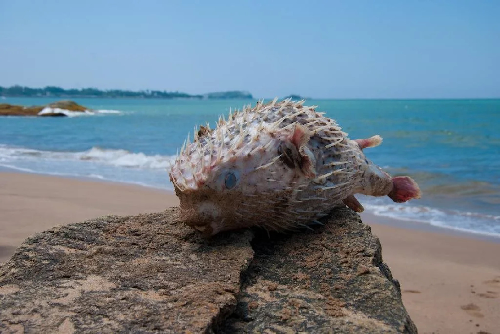 Angel Villa - Exotic Holidays in Private Villa Near Beach