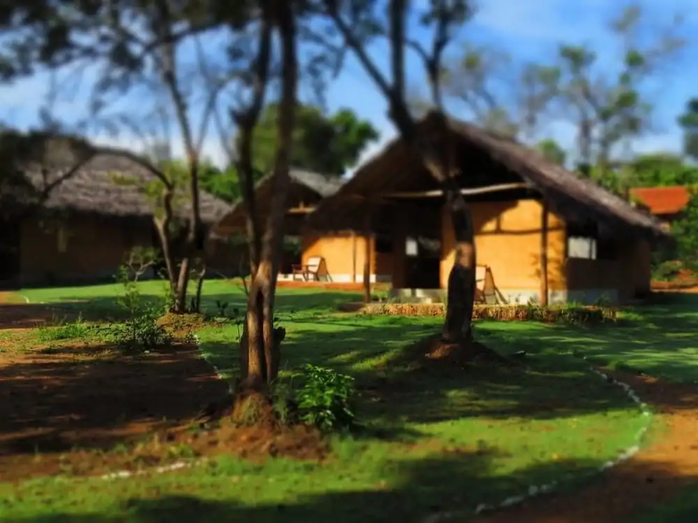 Green Ayurvedic Resort