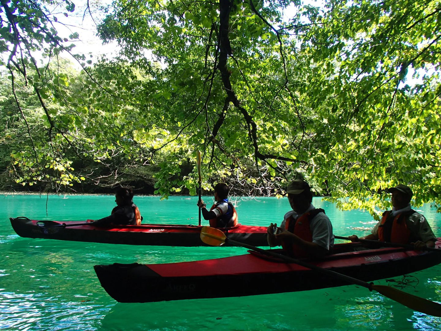 Shima Onsen Kashiwaya Ryokan