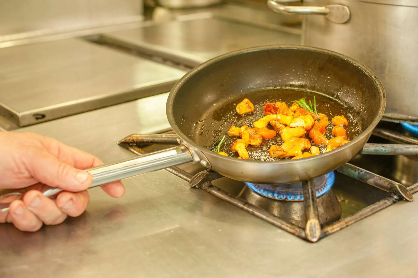 Le Manoir du Lys, The Originals Relais