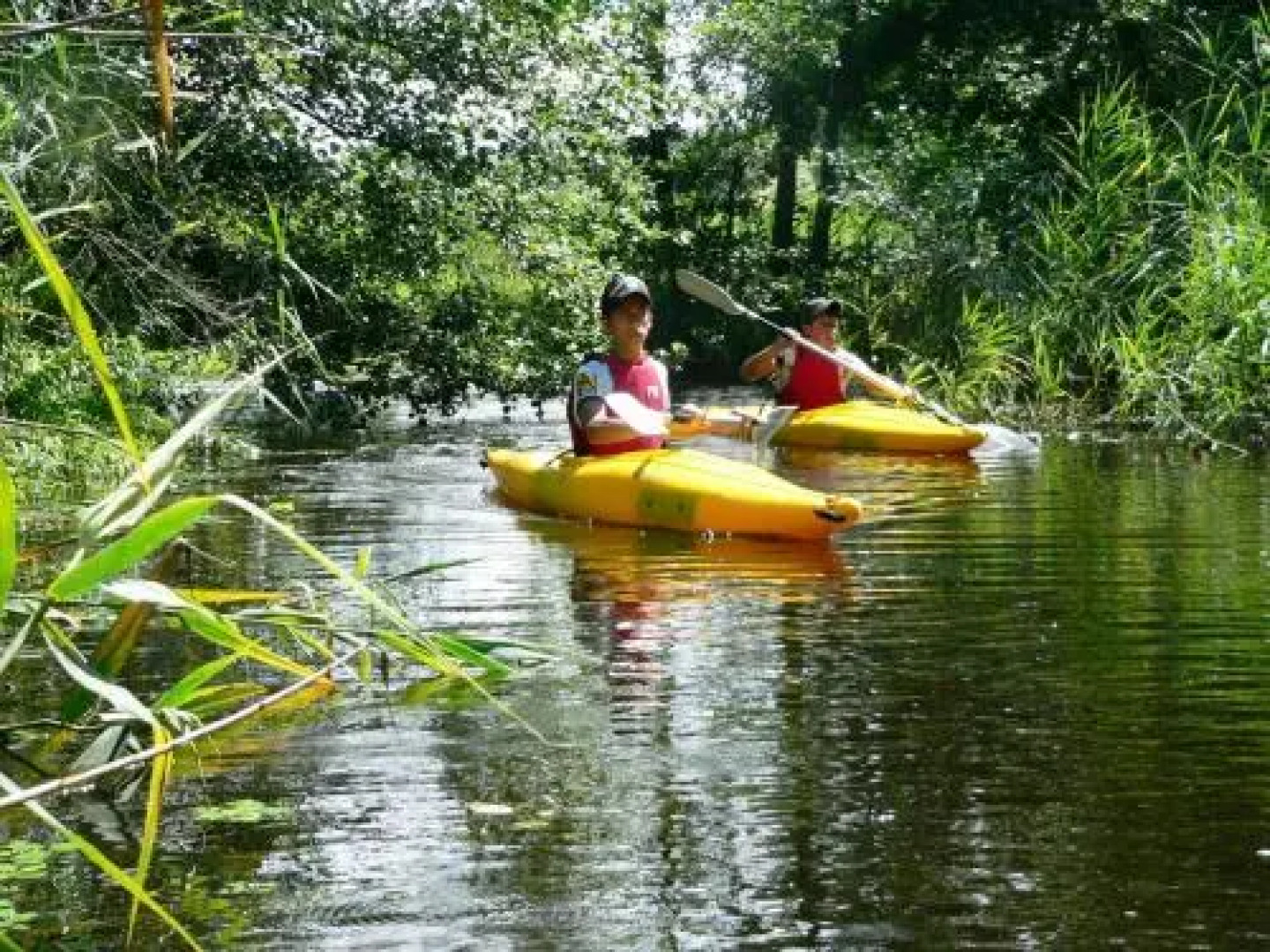 Anthares World Resort