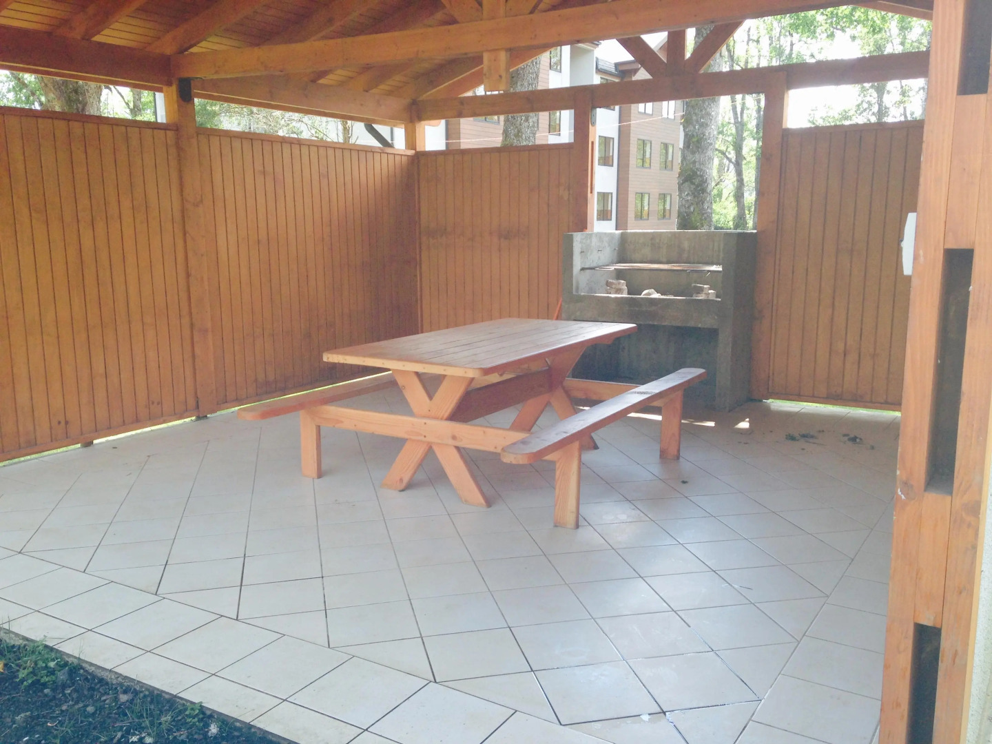 Peumayén Departamento Pucón