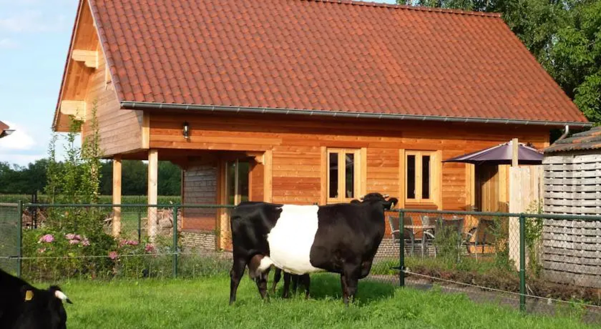 B&B De Lakenvelder