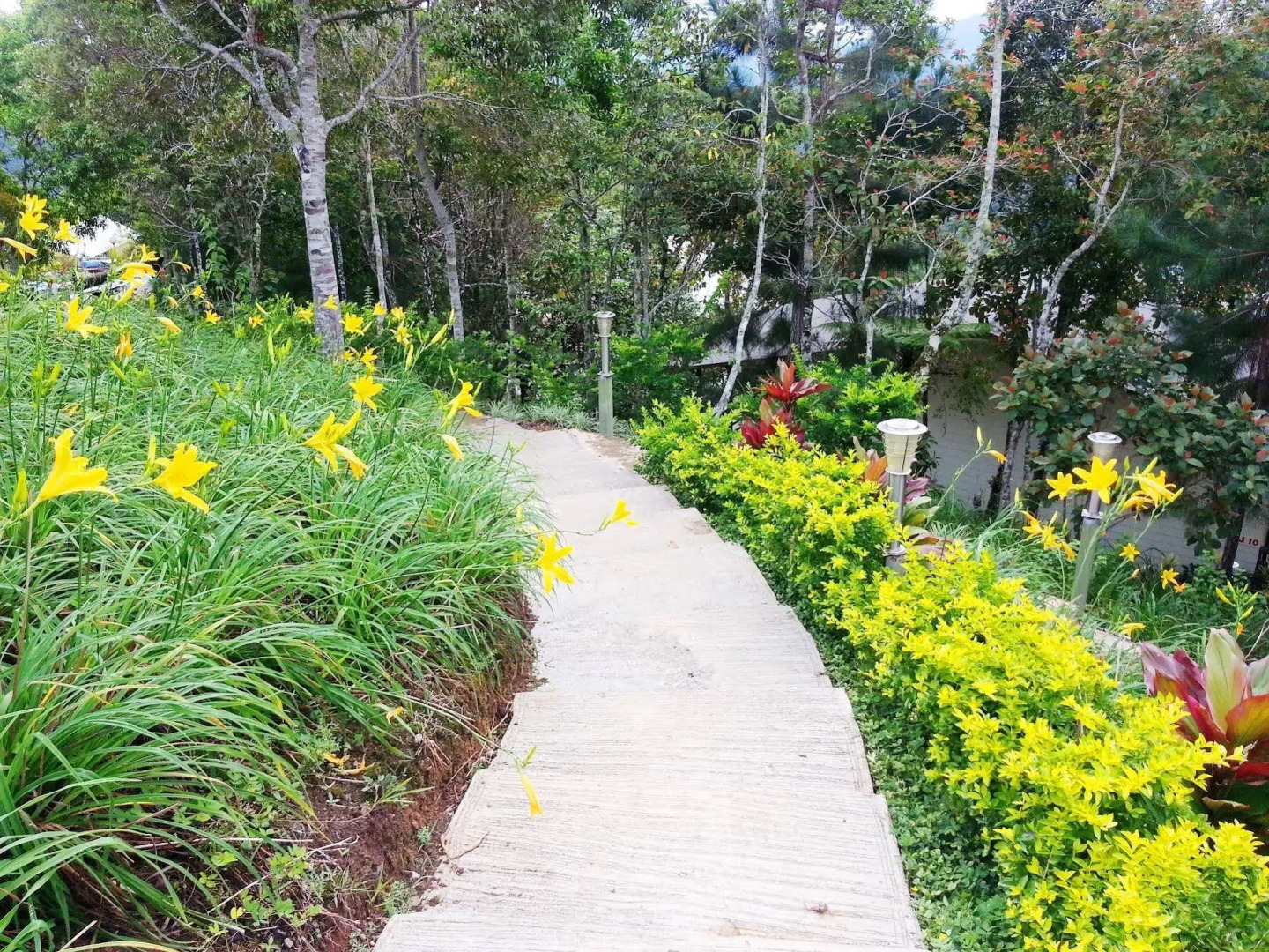 Celyn Resort Kinabalu