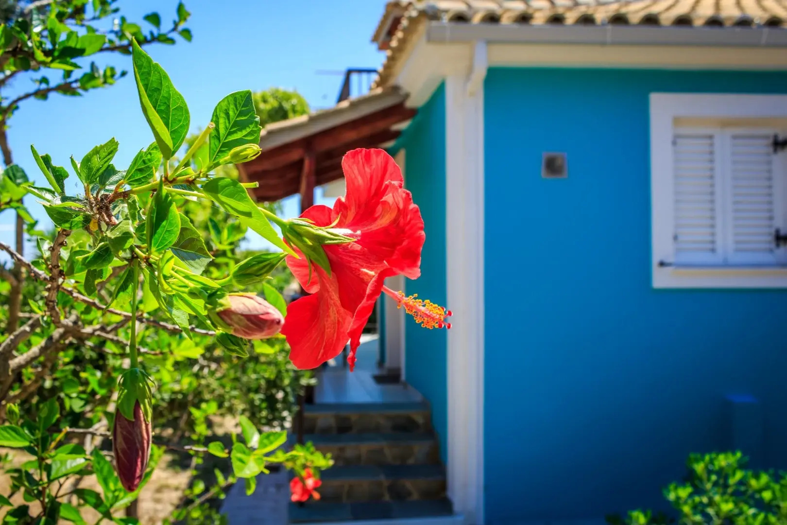 Porto Gerakas Villas & Apartments