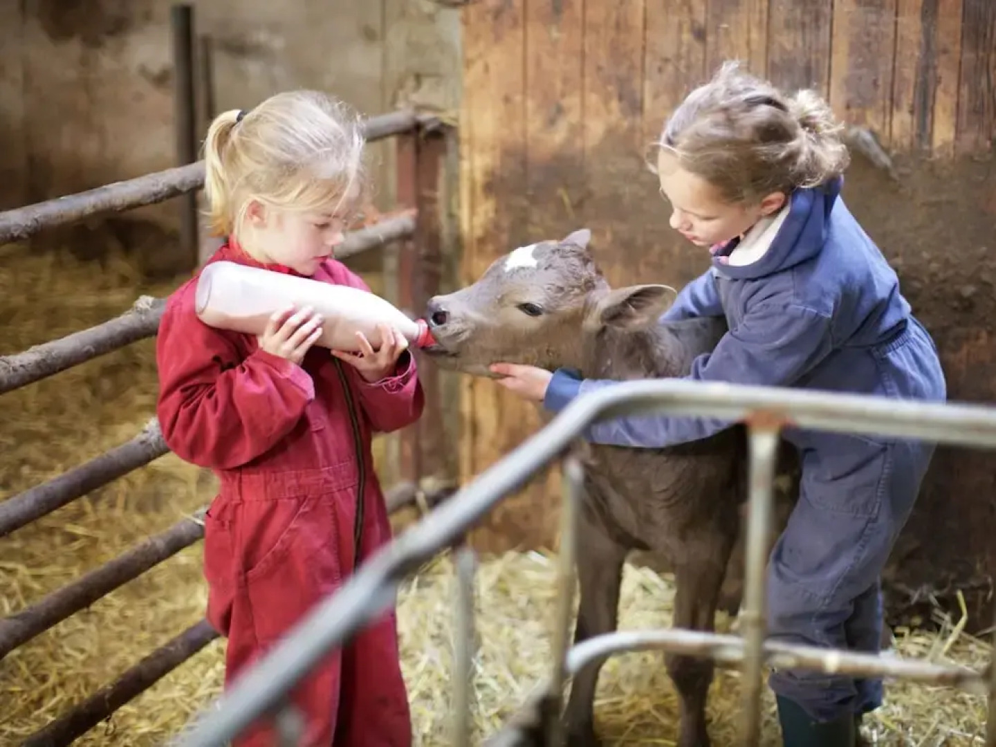 Chalet in Netherlands With Scenic Meadow Views