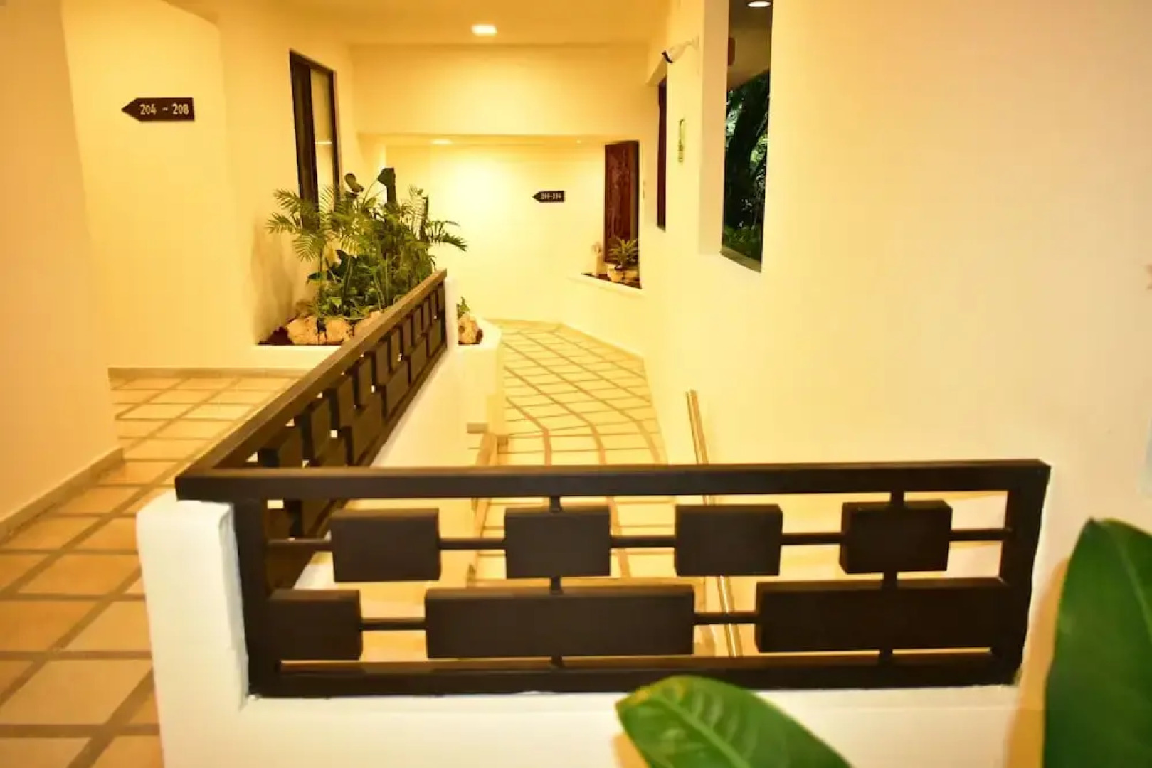 Maya Tulipanes Express