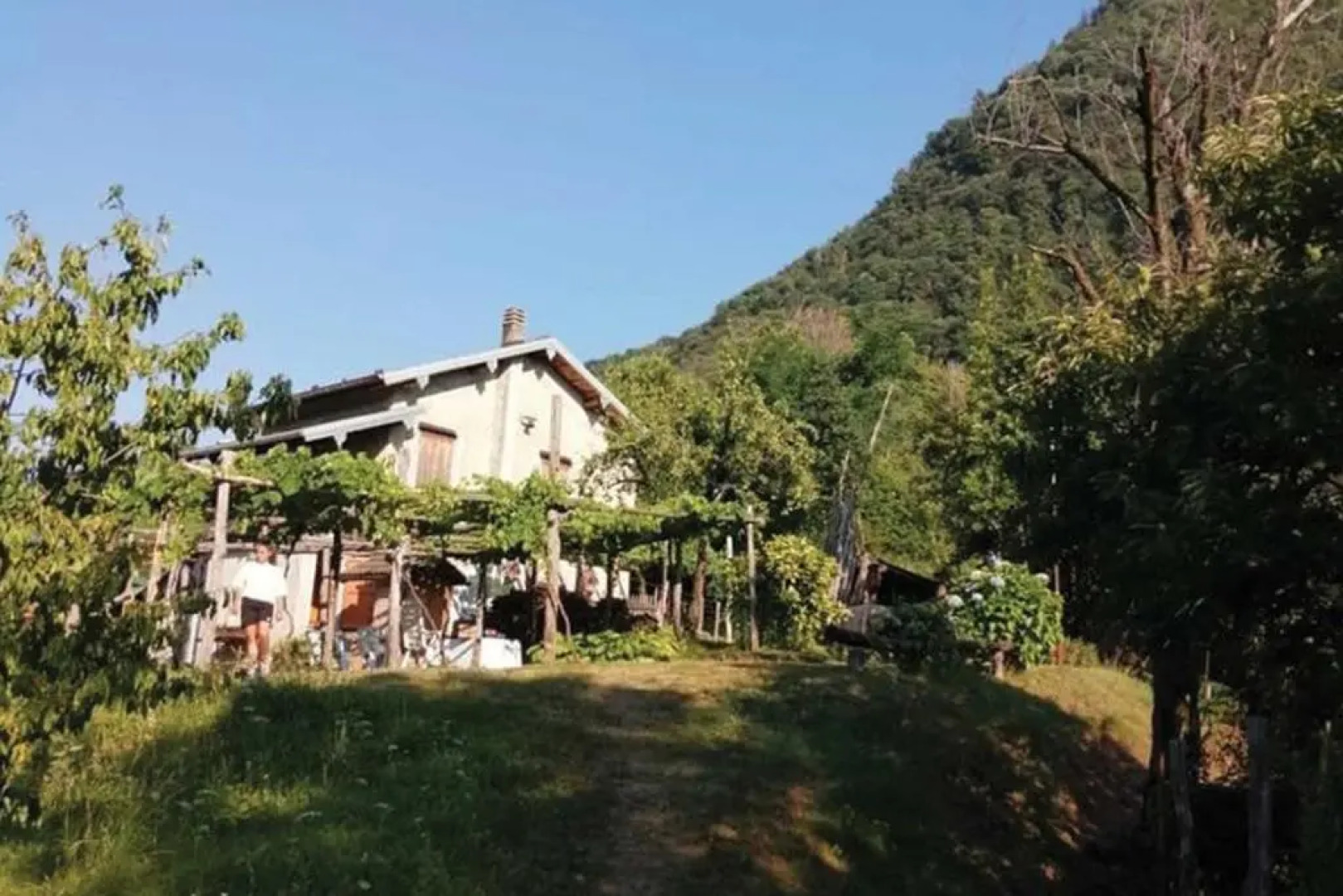 Il Vigneto Sul Lago Vineyard Lake View