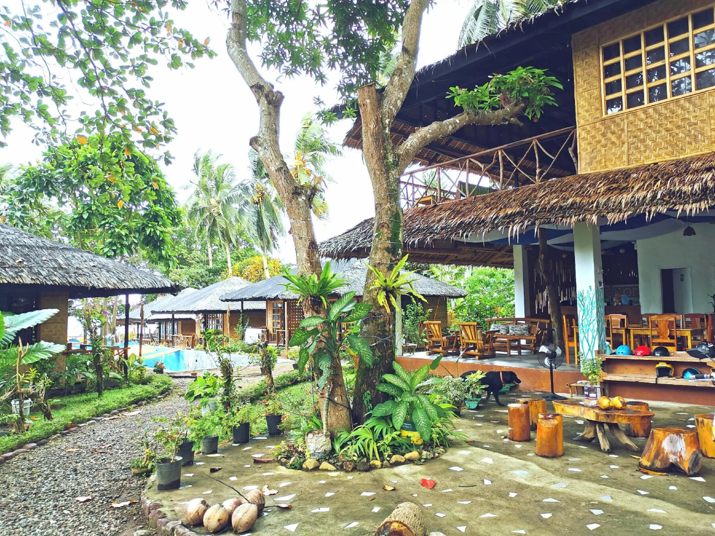 Kokomo Dive Resort Accommodation Hotel