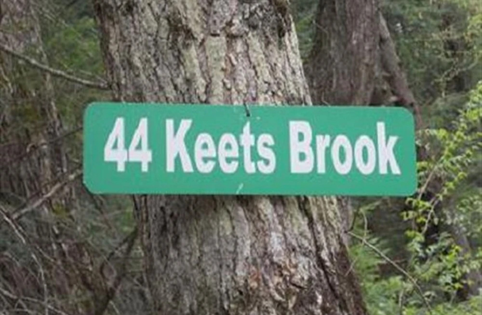 The Log Cabin Bed & Breakfast