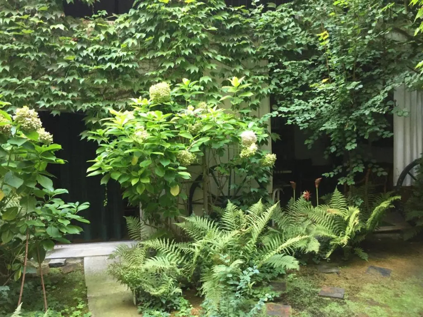 Apartments Casa nel Verde