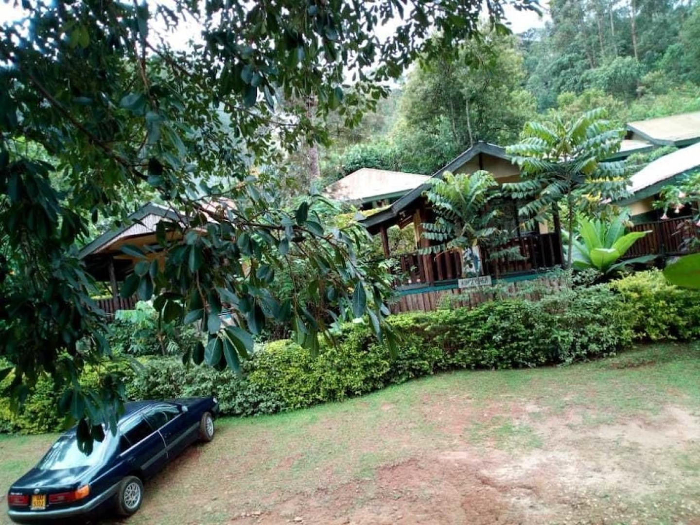 Bwindi View Lodge & Camp Site
