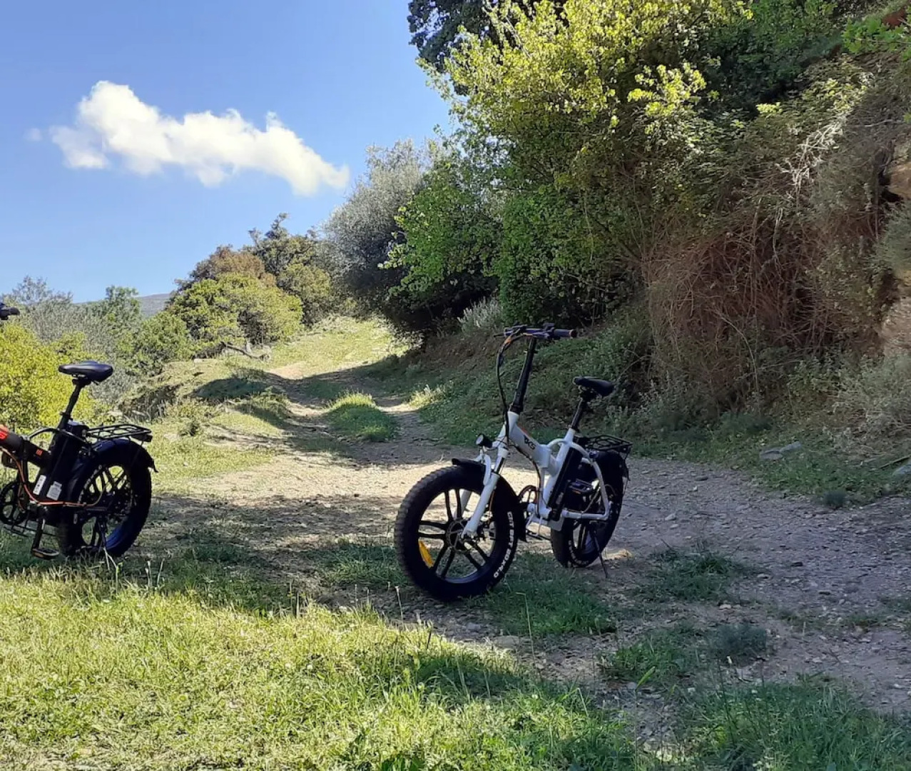 Andros 4 All Seasons