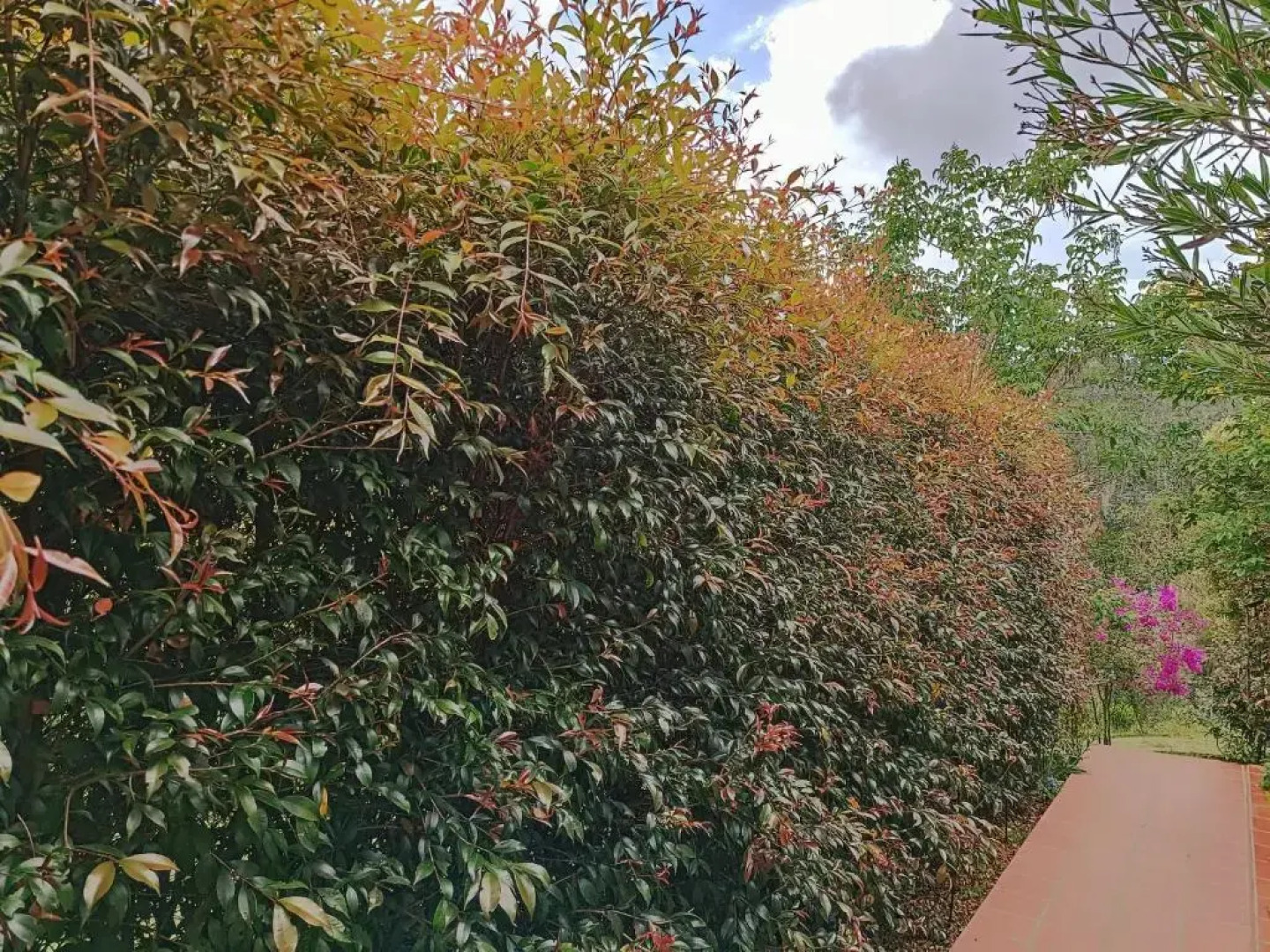 MONTEVERDE - Alojamiento Campestre - Guarne