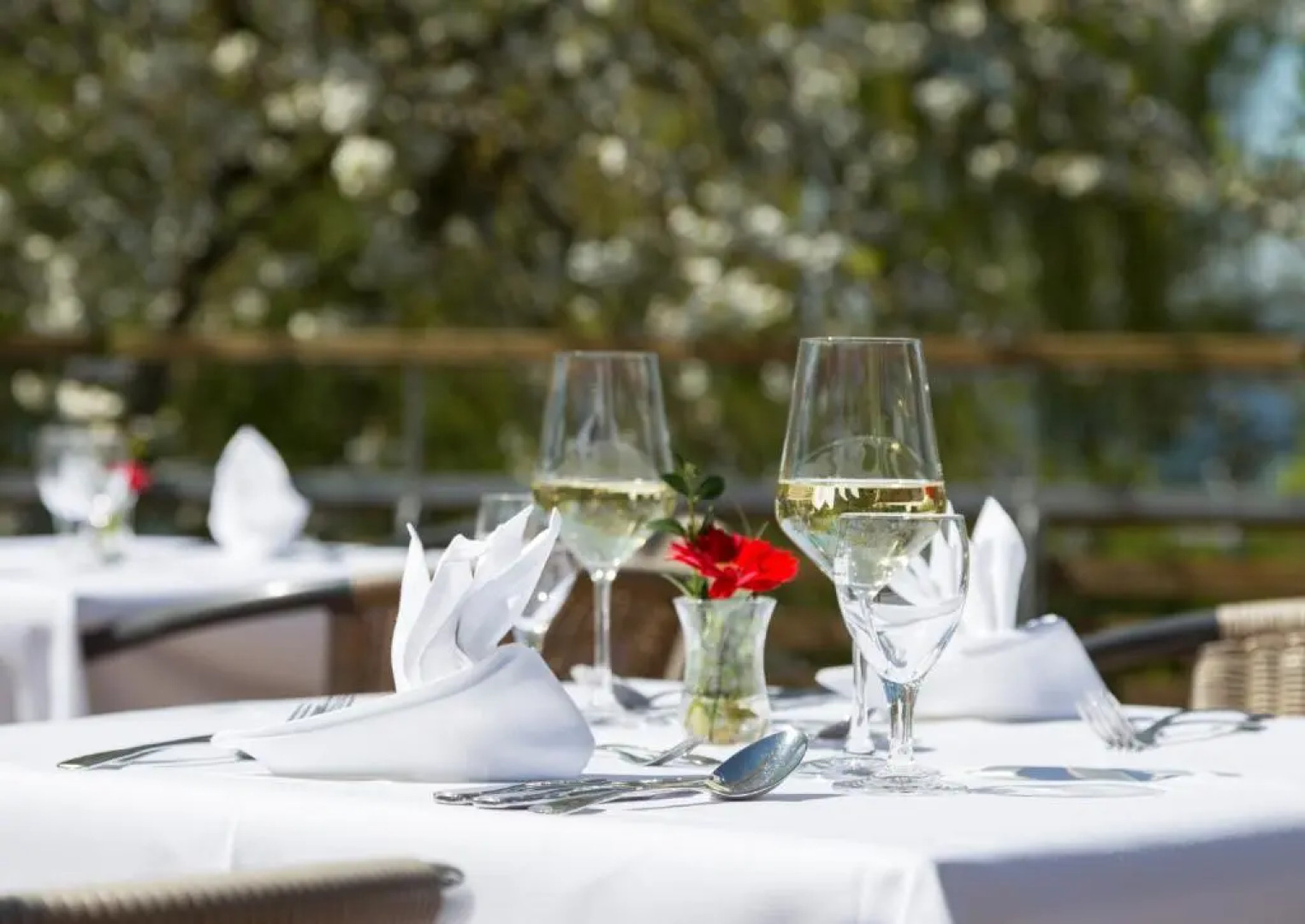 Pilgerhof und Rebmannshof