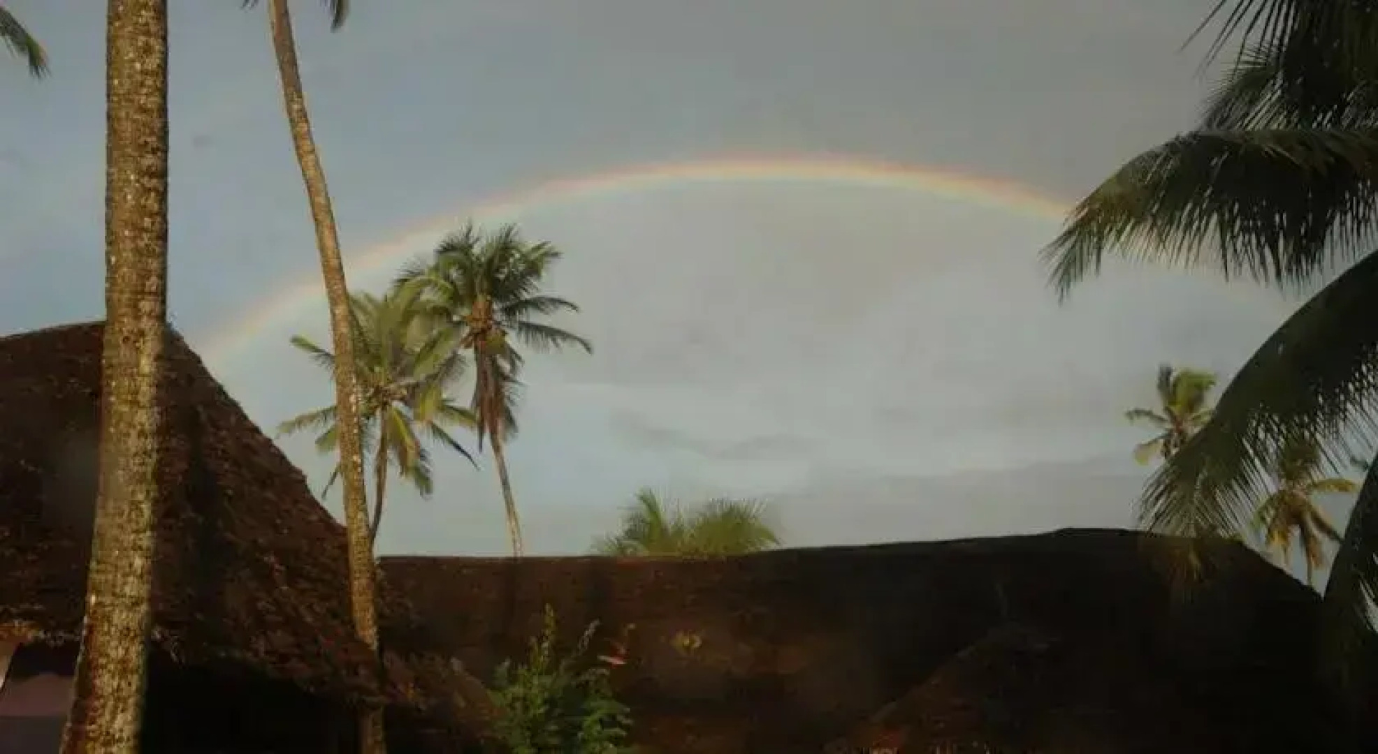 Simba Beach Zanzibar