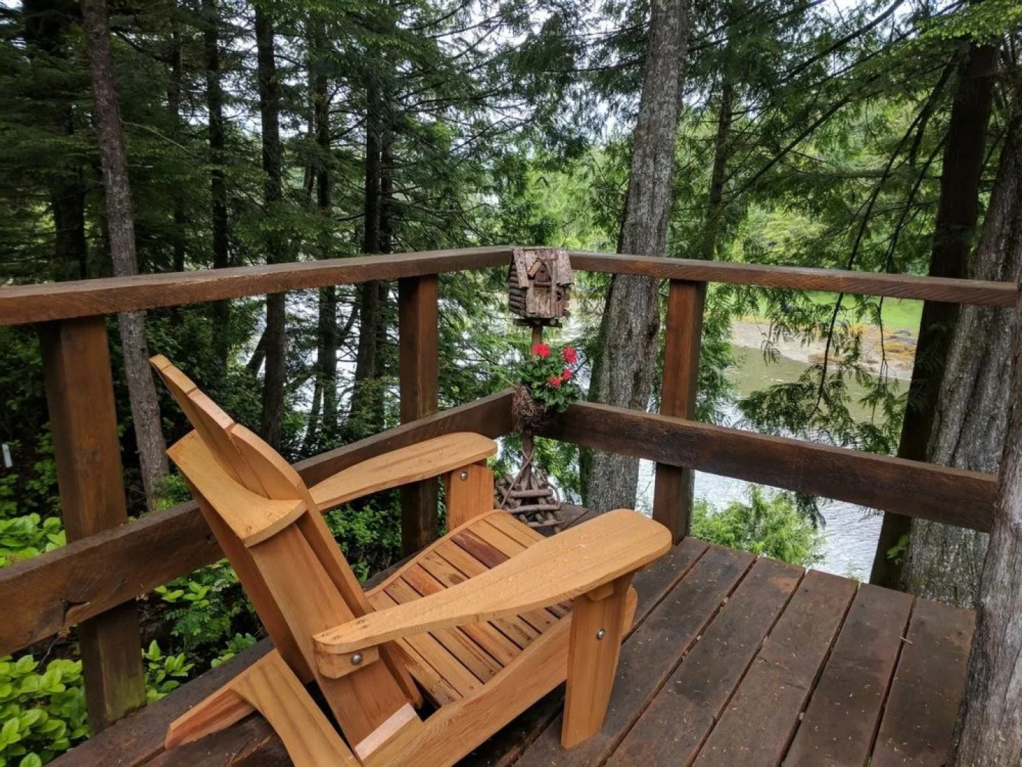 Wild Pacific Waterfront Cabins