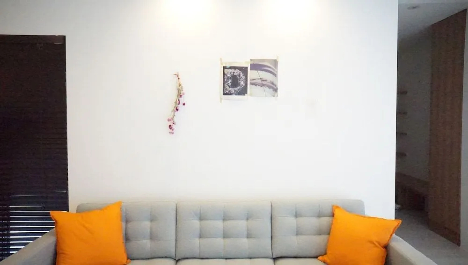 Blue Steak Wonder Senaha