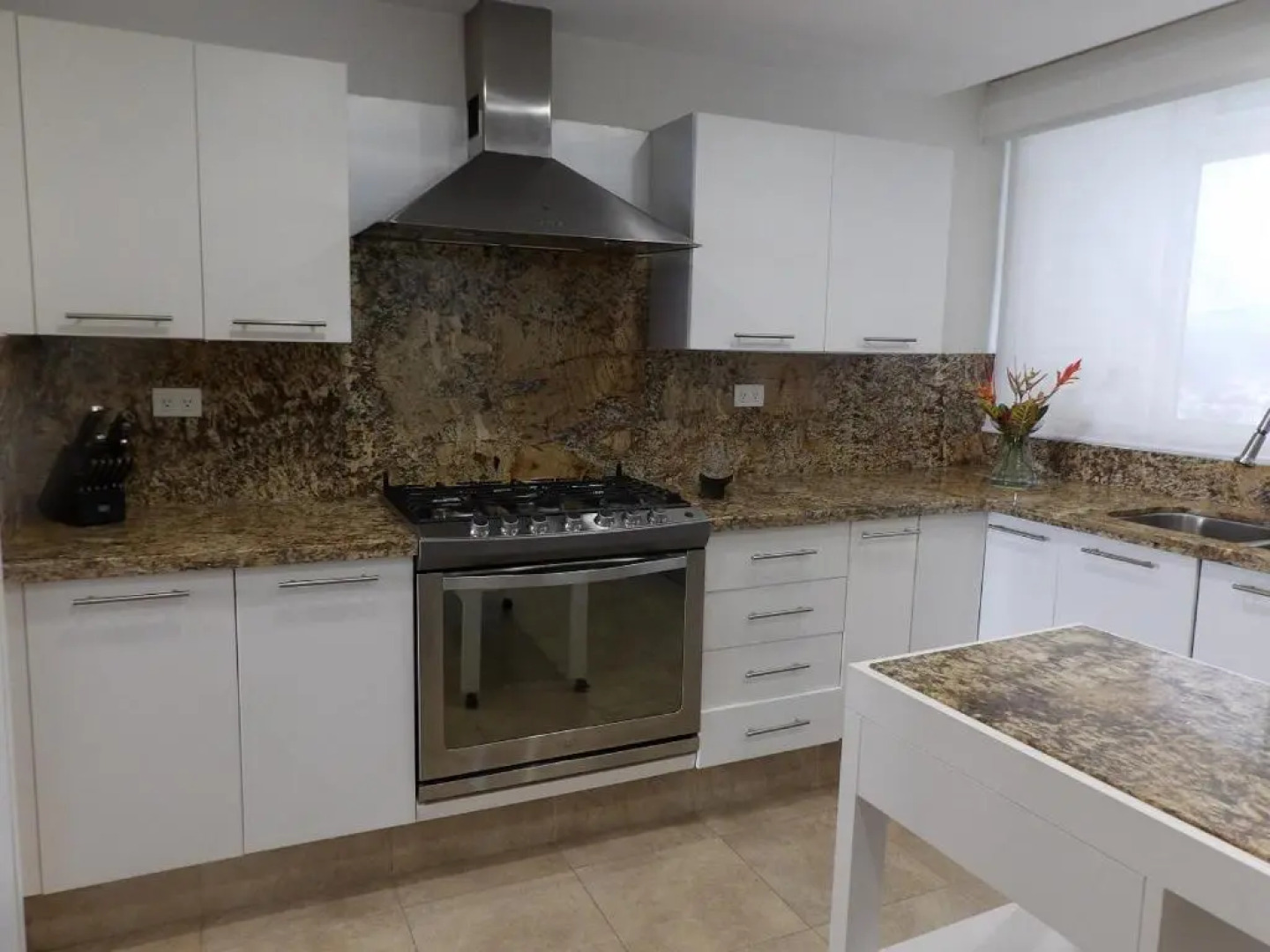 Beachfront PH Amara Ixtapa