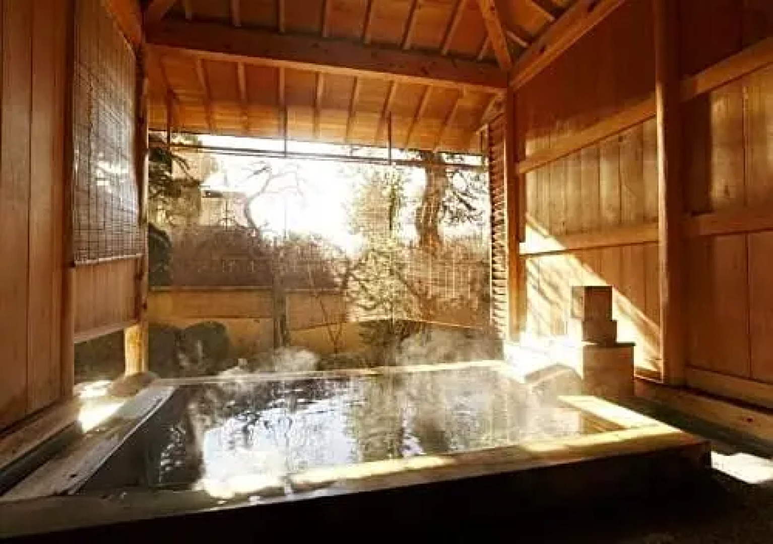 Shinshu Shimosuwa GinGetsu / Vacation STAY 28790
