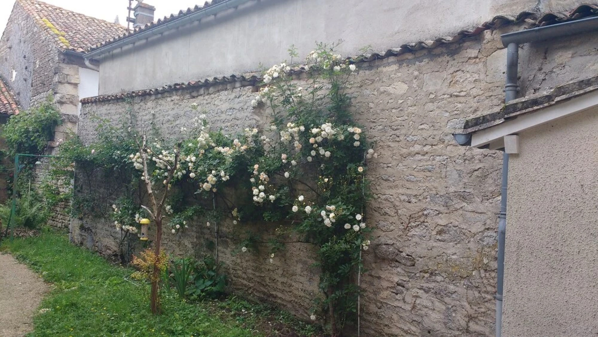 Chambre d'Hote Woody