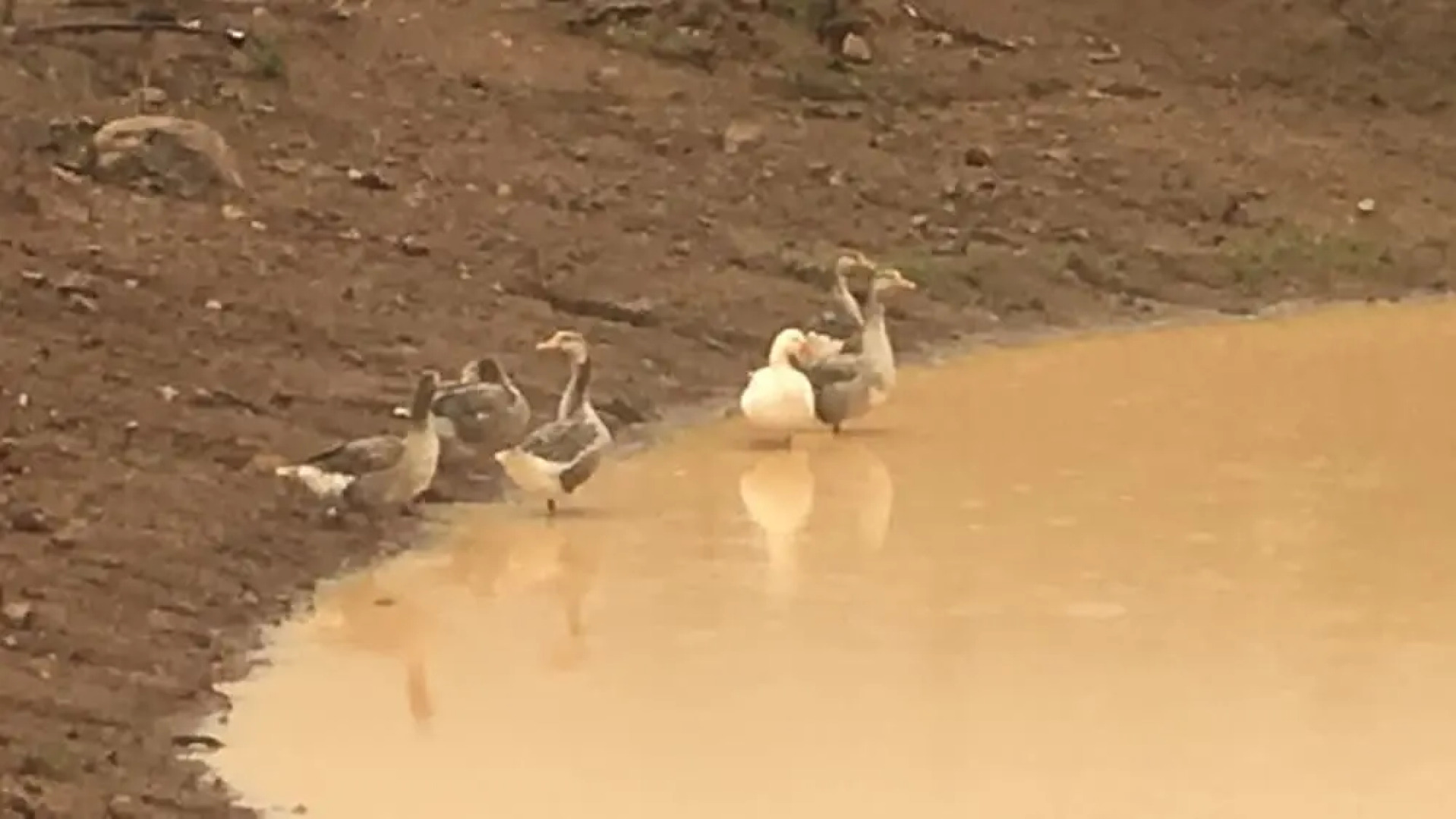 Rancho Escondido Casa Goyri
