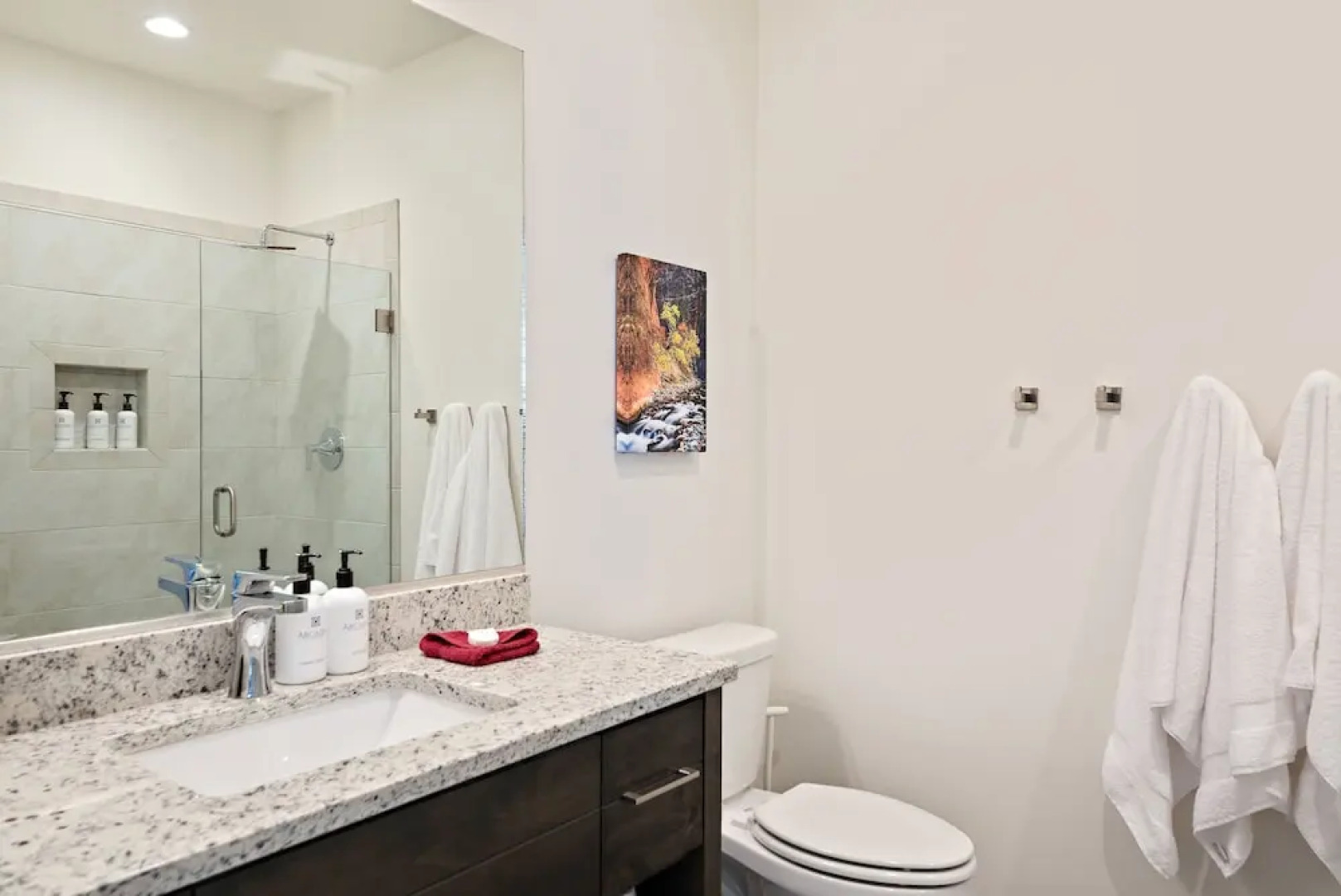 Arcadia #28 'ob-la-di'