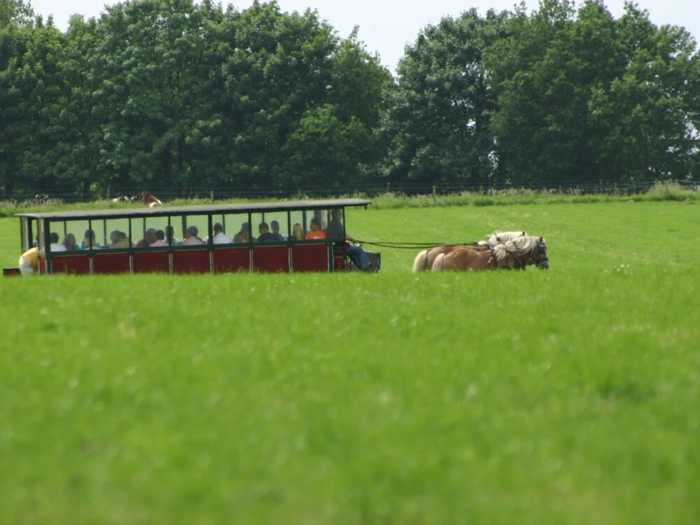 Cosy Chalet With gas Fireplace in Twente