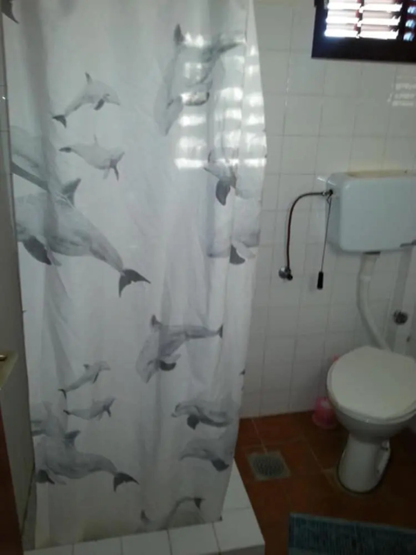 Apartments Kovacevic