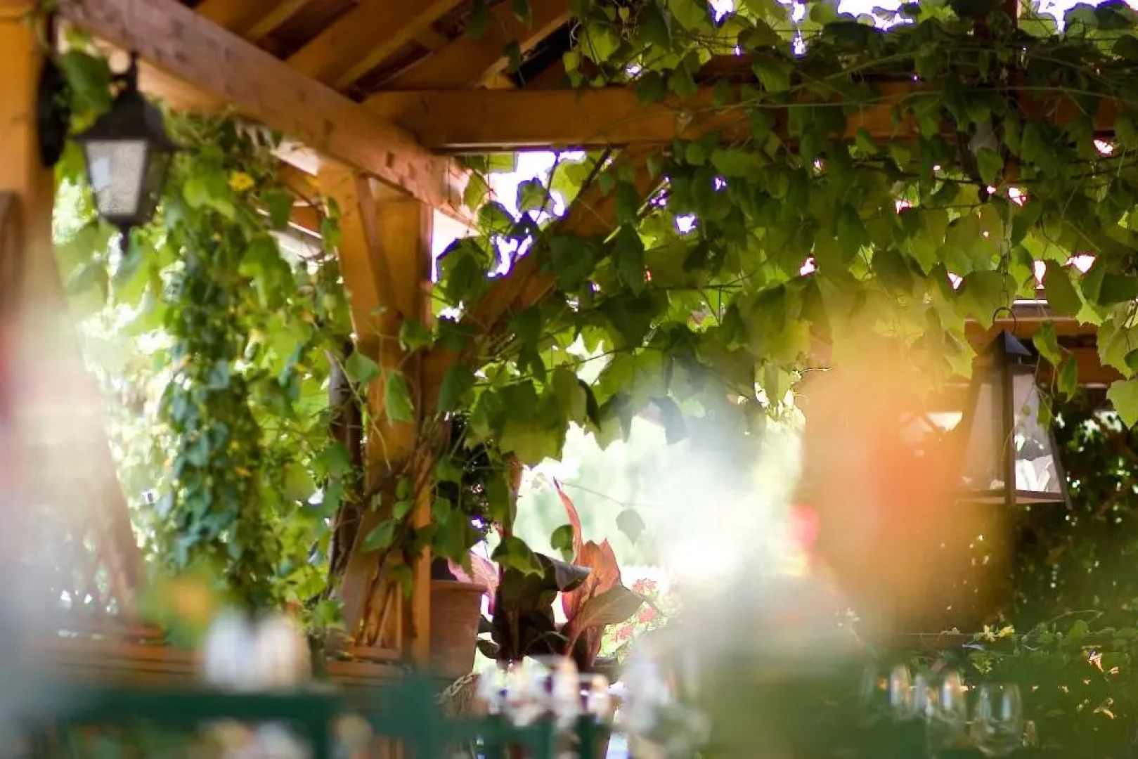 Hotel-Restaurant Fischerwirt