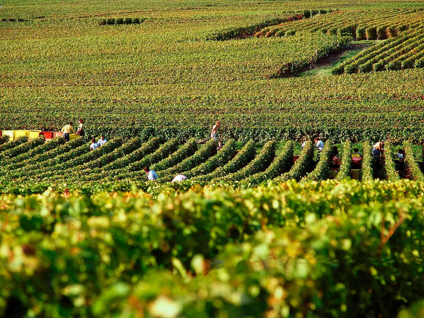 ibis budget Reims Thillois