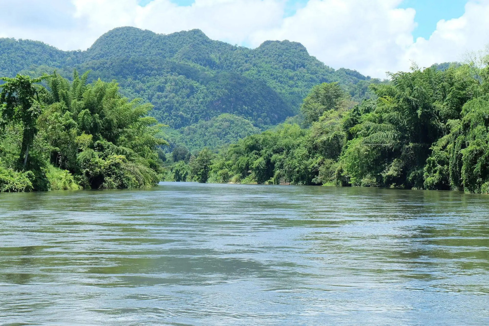 River Kwai Jungle view