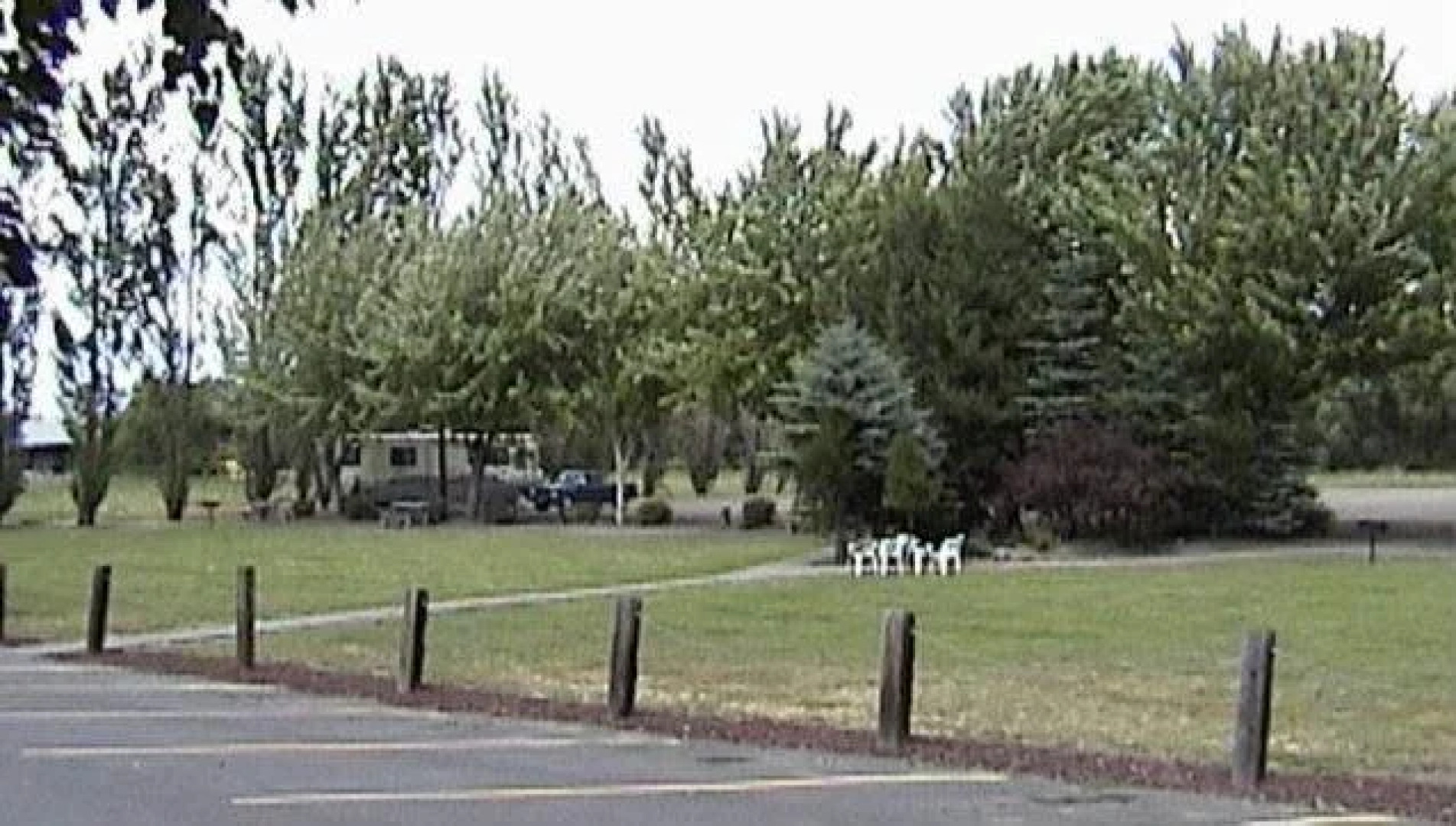 Nites Inn Motel & RV Park