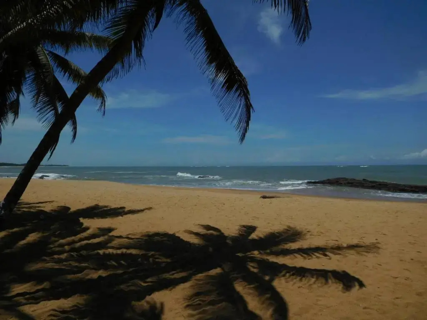 Alberta's Palace Beach Resort