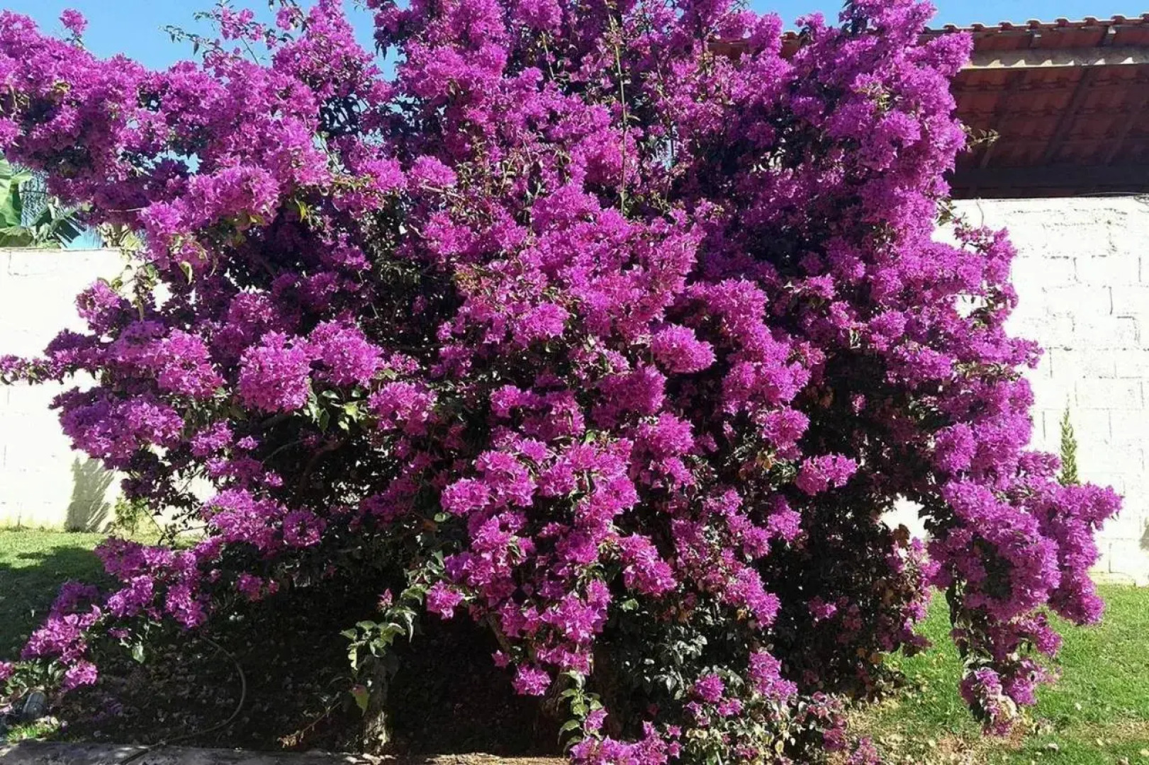 Pousada Vale das Primaveras