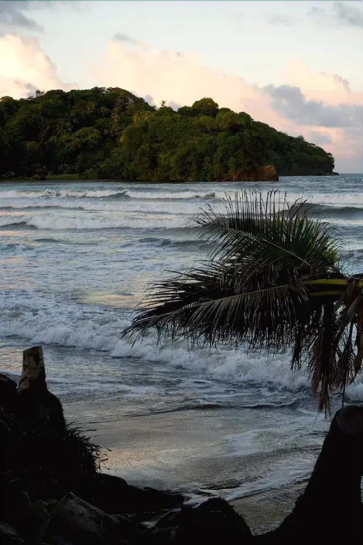 D'Coconut Holiday Beach Resort