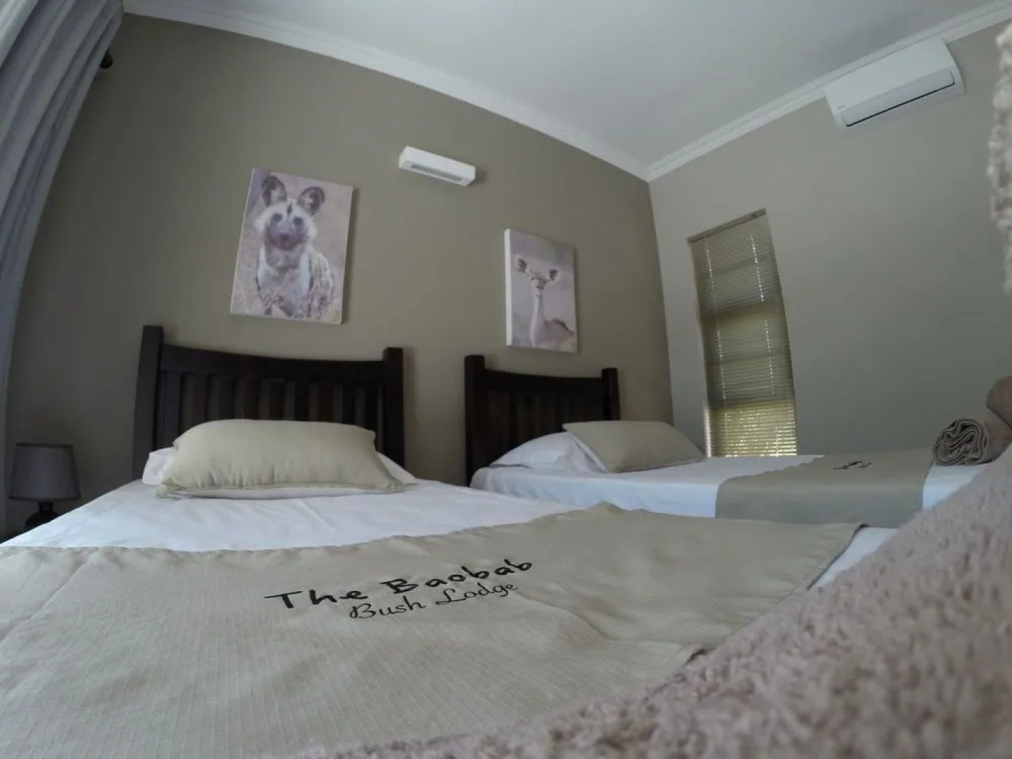 The Baobab Bush Lodge