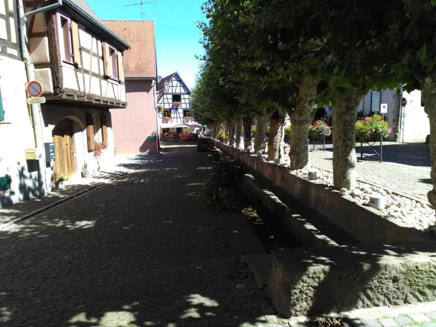 Gites & Camping on the Route des Vins