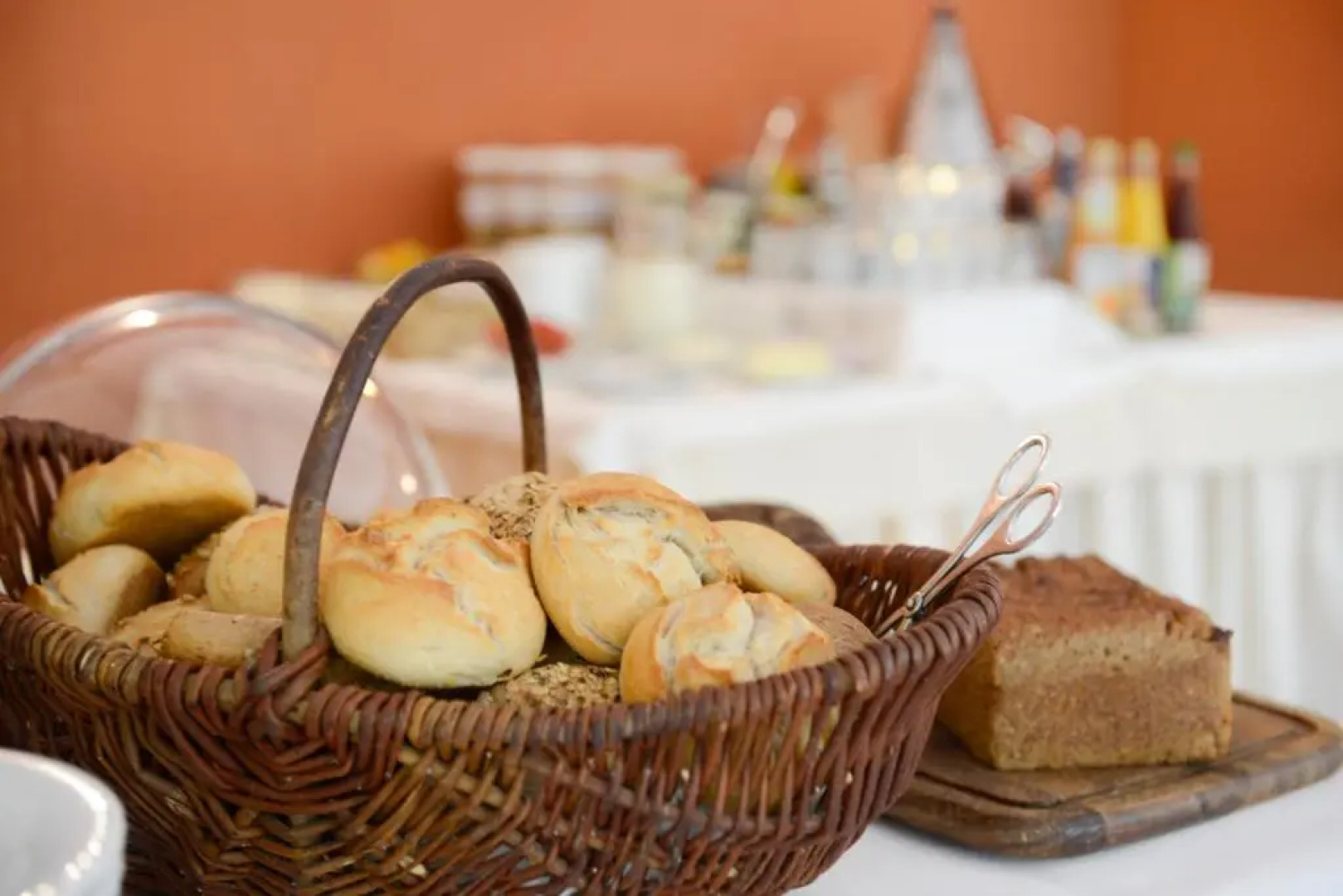 Wegermann`s BIO-Landhaus im Wodantal