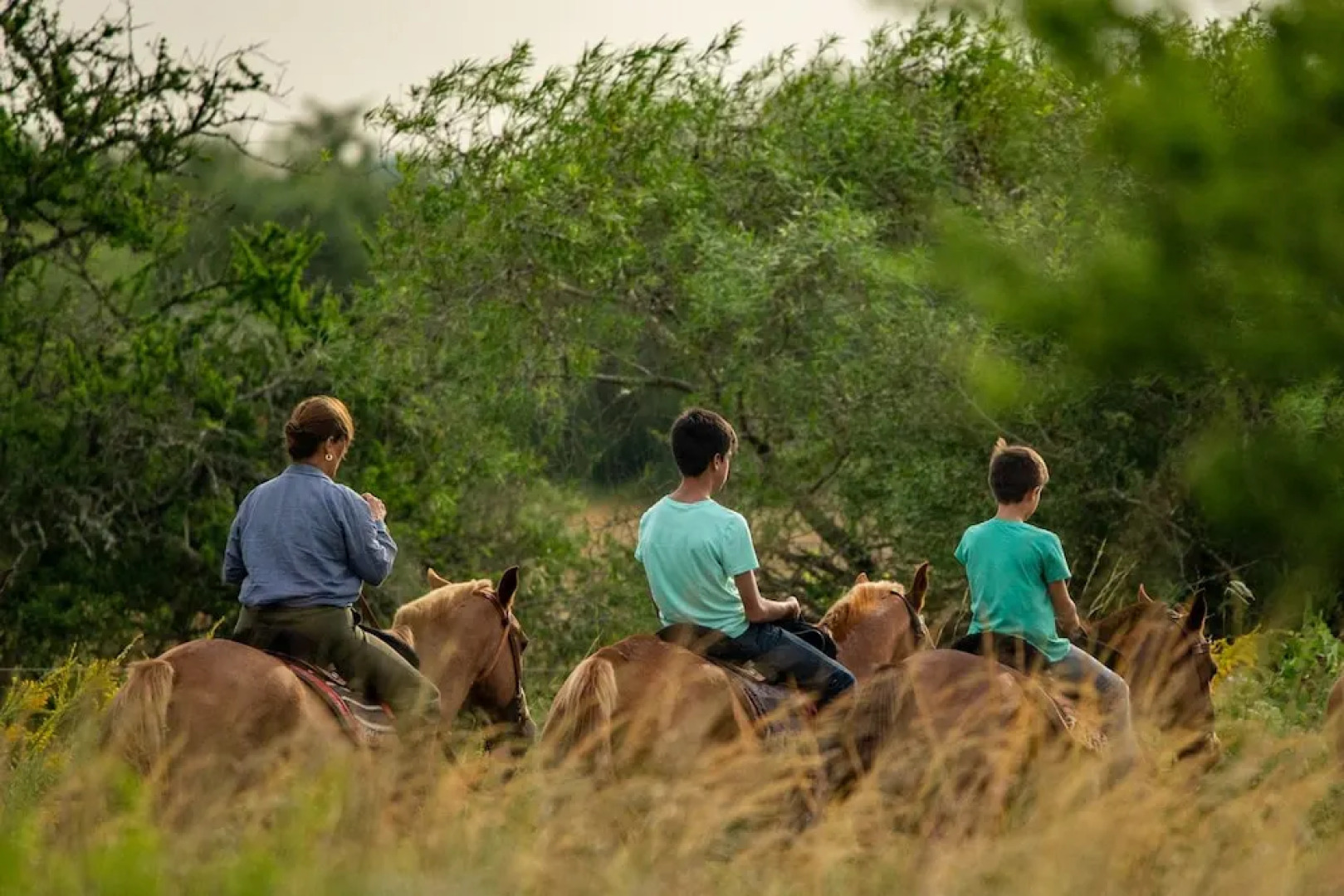 Posada Uguay - Esteros del Iberá